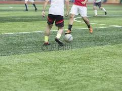 半决赛激战,正酣,辽粤巅峰对,爱游戏app,爱游戏官网,爱游戏体育官网,爱游戏体育app