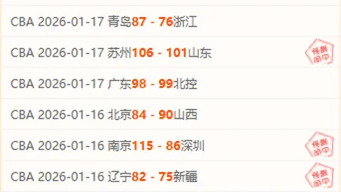 尼克斯遭雷霆逆转 14连胜追平NBA队史纪录